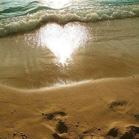 Cathedral Apartament *