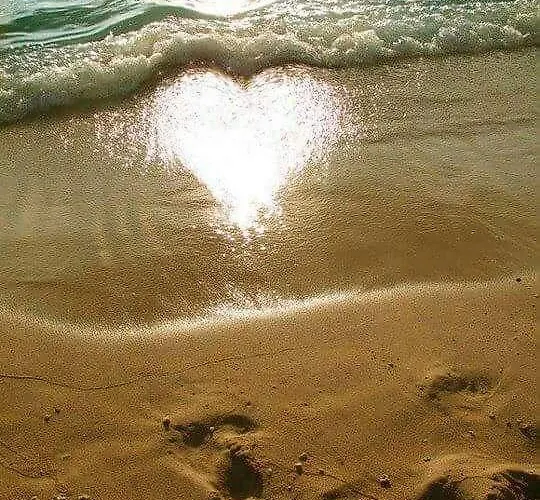 Cathedral Апартаменты *